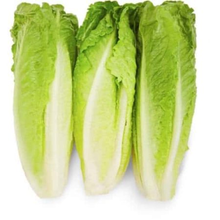 New crop yellow green lettuce